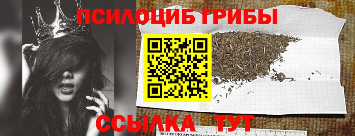 Красноярск  Псилоцибиновые грибы прущие грибы  Вход с VPN 