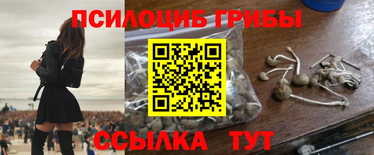 Галлюциногенные грибы прущие грибы Красноярск
